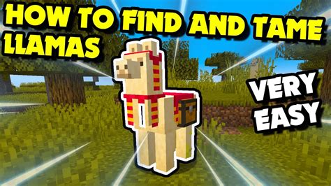 how to catch a llama minecraft.